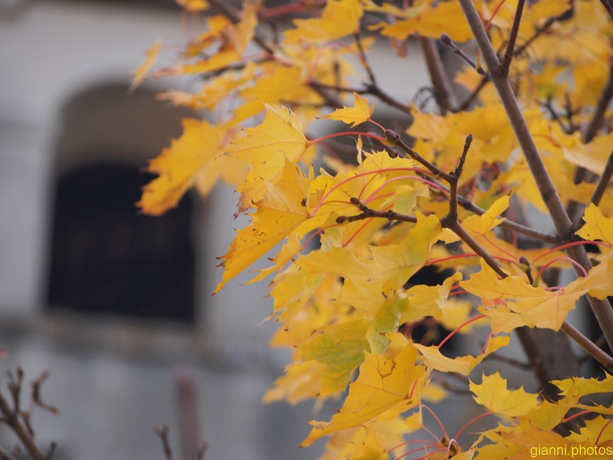 autunno 2017