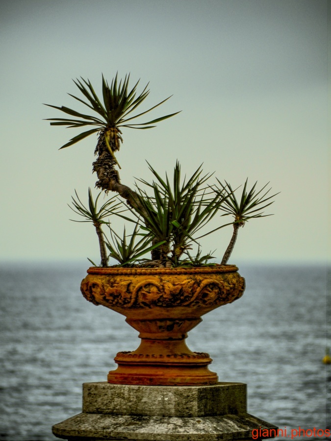 Miramare