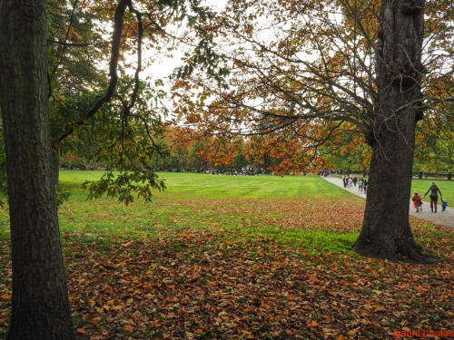 Greenwich