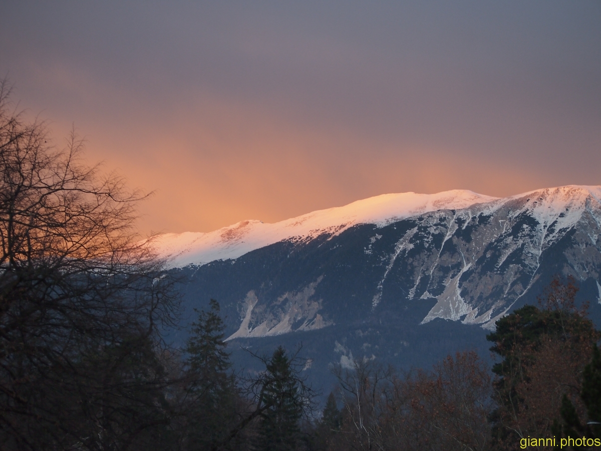 Bled