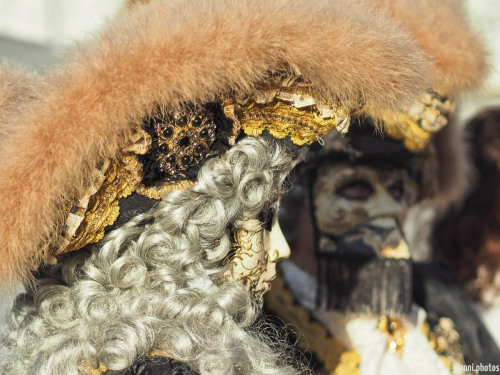 Carnevale Venezia