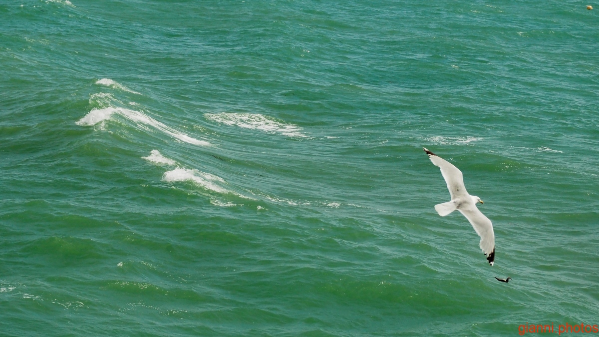 Brighton