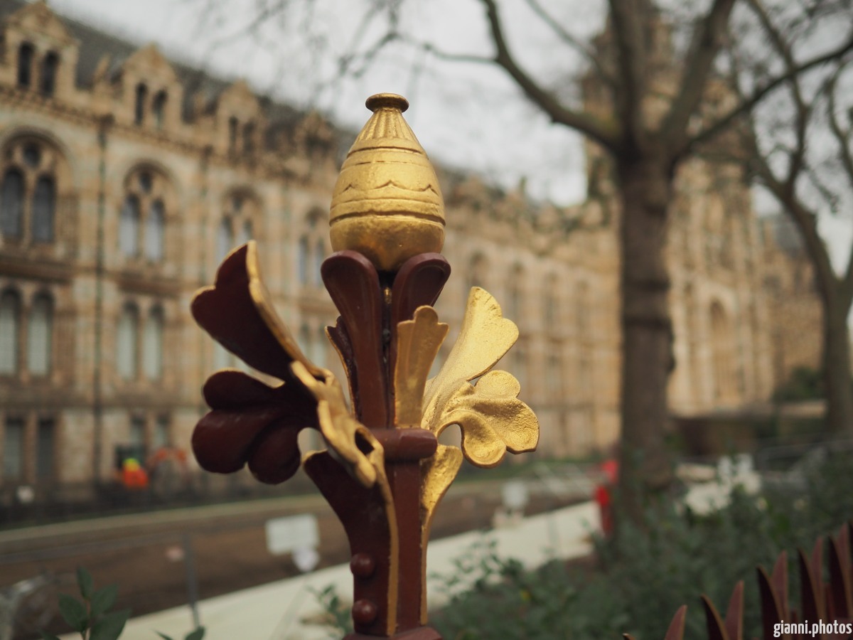 London Natural History Museum