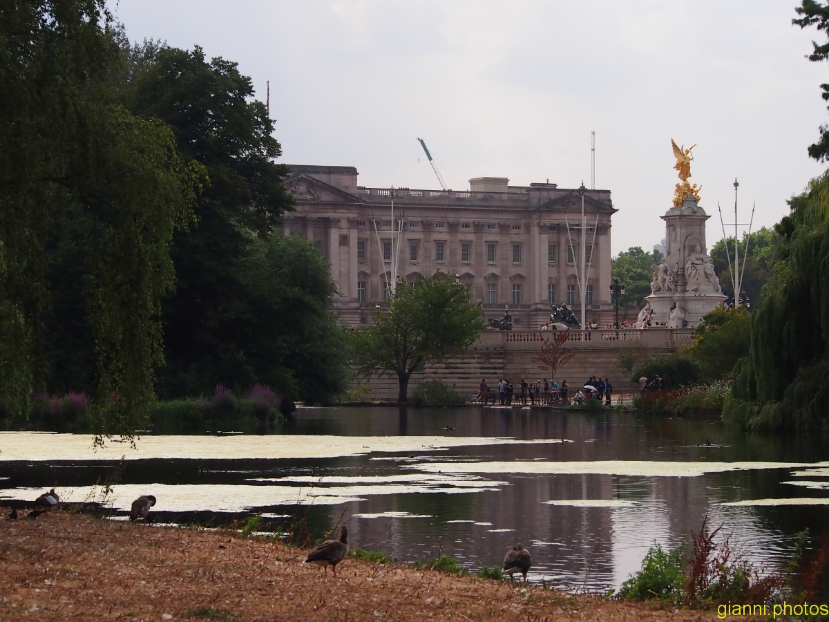 Buckingham Palace