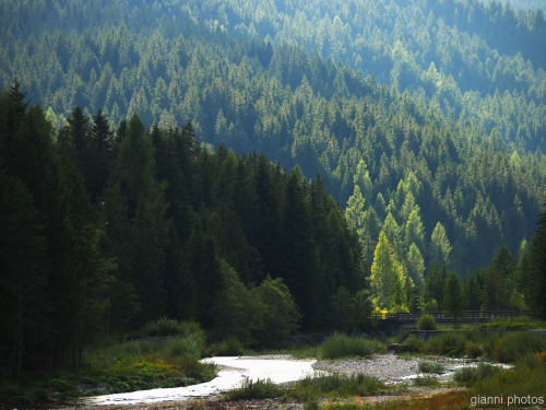 Sappada